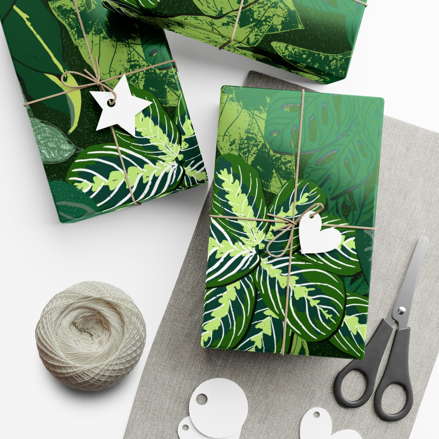 Plant Wall Gift Wrap